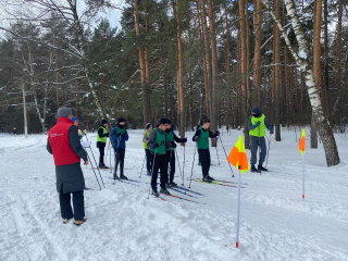 Кузьминский лесопарк вошел в топ-10 зимних локаций Подмосковья благодаря лыжне длинной 2,8 км
