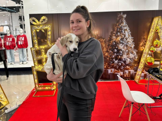 Найдите друга: люберчан приглашают на выставку-пристройство кошек и щенков из приютов