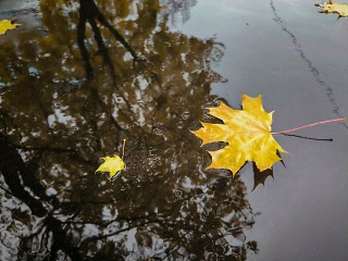 «Поймала утро осени»: сотрудница МФЦ Раменского заняла призовое место в фотоконкурсе федерального канала