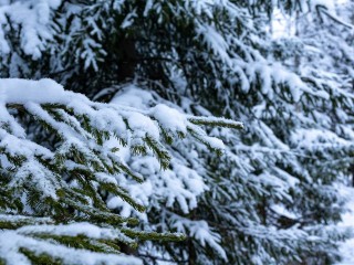 Синоптики назвали дату, когда Подмосковье «уйдет в глубокий минус»