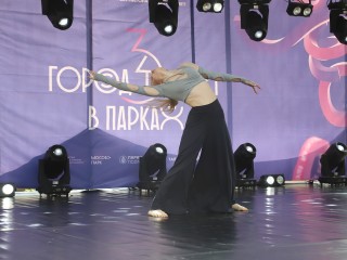 День студента в Луховицах отметят дискотекой