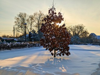 Погода на Крещение в Подмосковье: прогноз синоптиков
