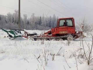 Зеленый каркас округа: в Можайске началась масштабная программа по уходу за лесами