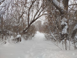 Снежный марафон отступает: синоптики назвали дату окончания снегопада в Подмосковье.