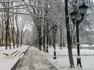 Морозы начнут усиливаться в четверг в Подмосковье