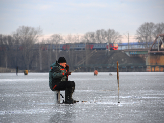 Что клюет в январе в водоемах Подмосковья и как не остаться с пустым ведром