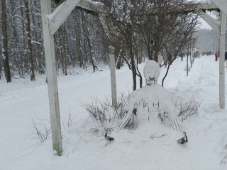 В электростальском парке поселился снежный йог