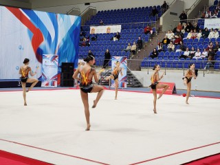 Только 10 гимнасток войдут в сборную области после соревнований в Раменском