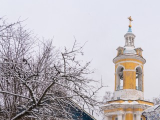 Редкая святыня в Истре: в храм в Глебове привезли чудотворную икону