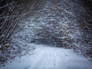 Ночь на 24 января может стать одной из самых холодных
