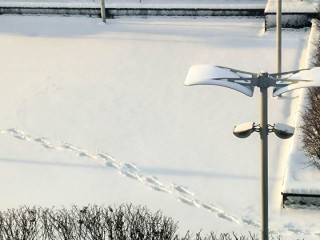 Москву и Подмосковье завалит снегом! К Рождеству сугробы достигнут 36 сантиметров