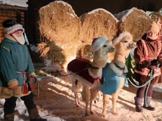 Праздник с киноактерами-животными и огненным шоу организовали в Кашире