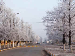 Морозная свежесть: как сильно рухнет температура в Подмосковье 24 и 25 января