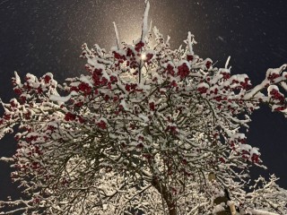 Конец января 2026 года: для каких знаков зодиака месяц станет самым удачным