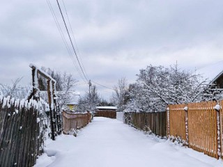 Какой будет погода в Старый Новый год в Подмосковье? Синоптик Шувалов дал точный прогноз