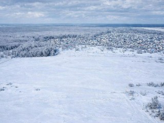 Жители Подмосковья «прирезали» себе еще земли: как законно перераспределить участок и сколько это стоит с января