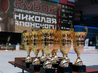 Мастера в действии: в Мытищах фестиваль боевых искусств откроет двери для детей, взрослых