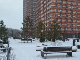 На помощь дворникам: жительница за час расчистила пешеходный переход на проспекте Мира