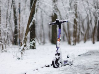 Объезжаем деревья согласно ПДД: зачем в лесах расставят дорожные знаки
