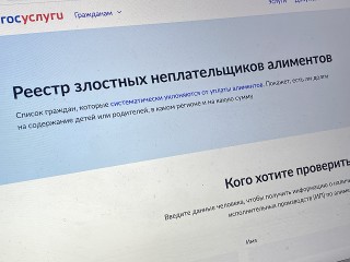 «Публичная огласка»: будет ли открытый реестр стимулировать алиментщиков оплачивать долги