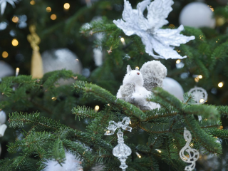 Холодное Рождество и ледяные выходные: когда в Подмосковье ударят 20-градусные морозы