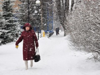 Снегопад, которого не было 70 лет, обрушился на Подмосковье! Снежный плен и лютая стужа накрыли регион