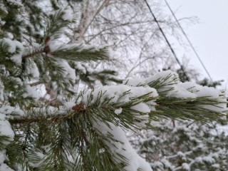 Циклон «Фрэнсис» ударил по Истре: все службы переведены на усиленный режим работы