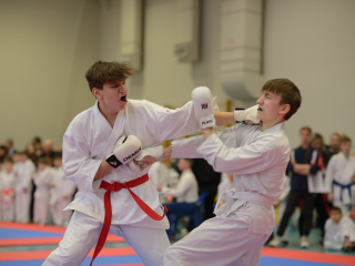 Кубок академика Челомея: в Реутове пройдут соревнования по каратэ