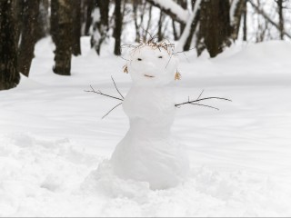 Сломал снеговика — лишился свободы: за какое повреждение снежной фигуры грозит реальный срок — ответ юриста