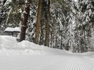 Парк Малевича предлагает лыжные трассы для классики и конька