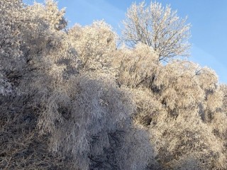 Снегопады отменяются в Подмосковье: синоптики обещают арктические морозы до -25°C