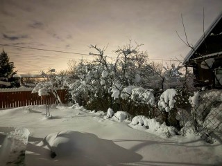 Волшебство морозной ночи: редкое явление украсило небо Московской области