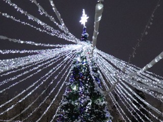 Новая светодиодная елка может украсить «Городок» будущей зимой