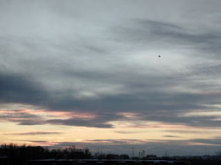 Ждать ли магнитную бурю 12 января 2026? Прогноз ученых на вторую половину месяца