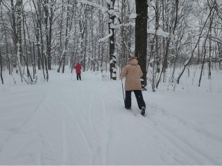 Классика или конек: где во Фрязине покататься на лыжах