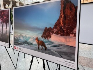 Билет во всероссийскую славу: как увлечение фотографией может принести победу в престижном фестивале