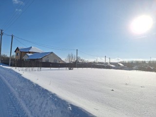 Земля и дети: как в Подмосковье бесплатно получить участок и основать фамильное гнездо