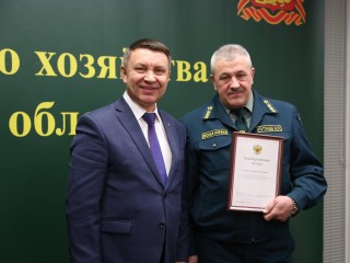 Подмосковье наградили за главную елку страны: как выбирали зеленую красавицу и сколько было претенденток