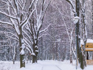 В выходные в Москве и Подмосковье наступит ледниковый период? Крепкие морозы обрушатся на регион в конце недели