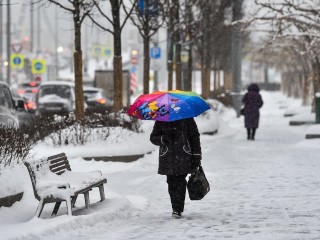 Туман и изморозь надвигаются на Подмосковье: в МЧС опубликовали метеопредупреждение