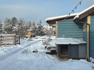 Штрафуют даже за сорняки: какие обычные дела на даче могут обернуться потерей десятков тысяч