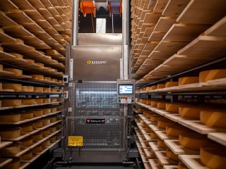 Вкалывают роботы, а не человек: как «умные» технологии берут на себя тяжелый труд на подмосковных агропредприятиях