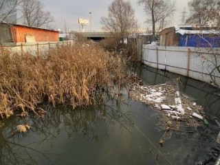 Стройка в неположенном месте: в Мытищах завершился суд по делу о нарушении в водоохранной зоне