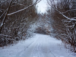 Магнитные возмущения и бури на Земле 23-24 января 2026