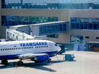 Поза, которая может убить: чем опасен новый лайфхак для сна в самолете по мнению стюардесс и врачей