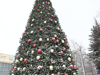Не только чай и сладости: что еще ждало гостей на празднике в Луховицах?