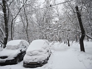 Коммунальные службы Дмитрова работают в усиленном режиме после снегопада
