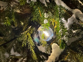 Кто стал лидером этой морозной ночи? Найдено самое холодное место Подмосковья