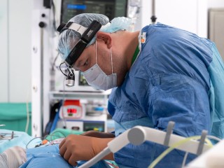 Токсичный ужас: женщина чуть не потеряла руку после укуса