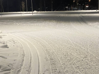 Почему жителей Можайска попросили не занимать лыжню в парке в эту субботу 24 января